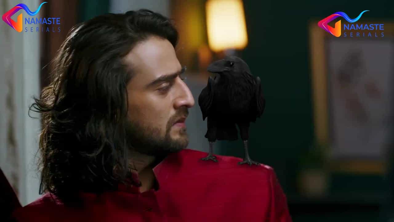 Jaadu Teri Nazar - Daayan Ka Mausam - Episode 51