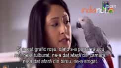 Humsafars - Episode 39