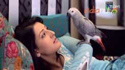Humsafars - Episode 56