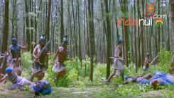 Porus - Episode 250