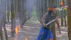 Porus - Episode 292