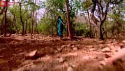 Ek Hazaaron Mein Meri Behna Hai - Episode 156