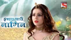 Icchapyaari Naagin - Episode 99