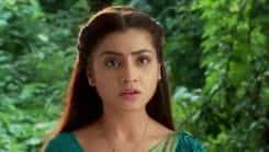 Doli Armaanon Ki - Episode 206